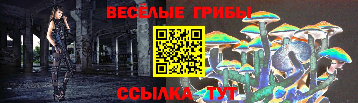 Лесозаводск  Псилоцибиновые грибы Psilocybe  Вход с VPN  Псилоцибиновые грибы мицелий 